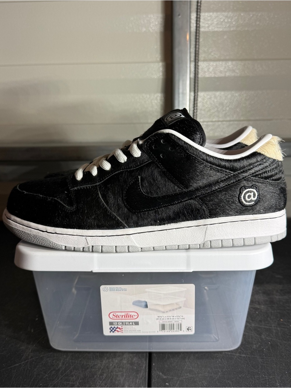 Size 12 - Dunk Low Medicom Toy